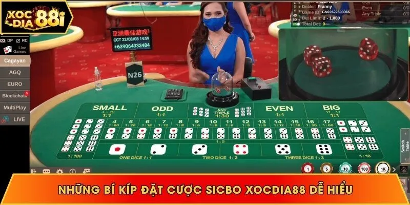 Những bí kíp chơi Sicbo khôn ngoan bạn nên áp dụng